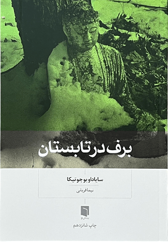 کتاب برف در تابستان اثر سایاداویوجوتیکا